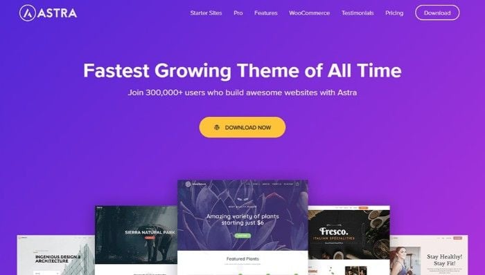 Astra WordPress Theme